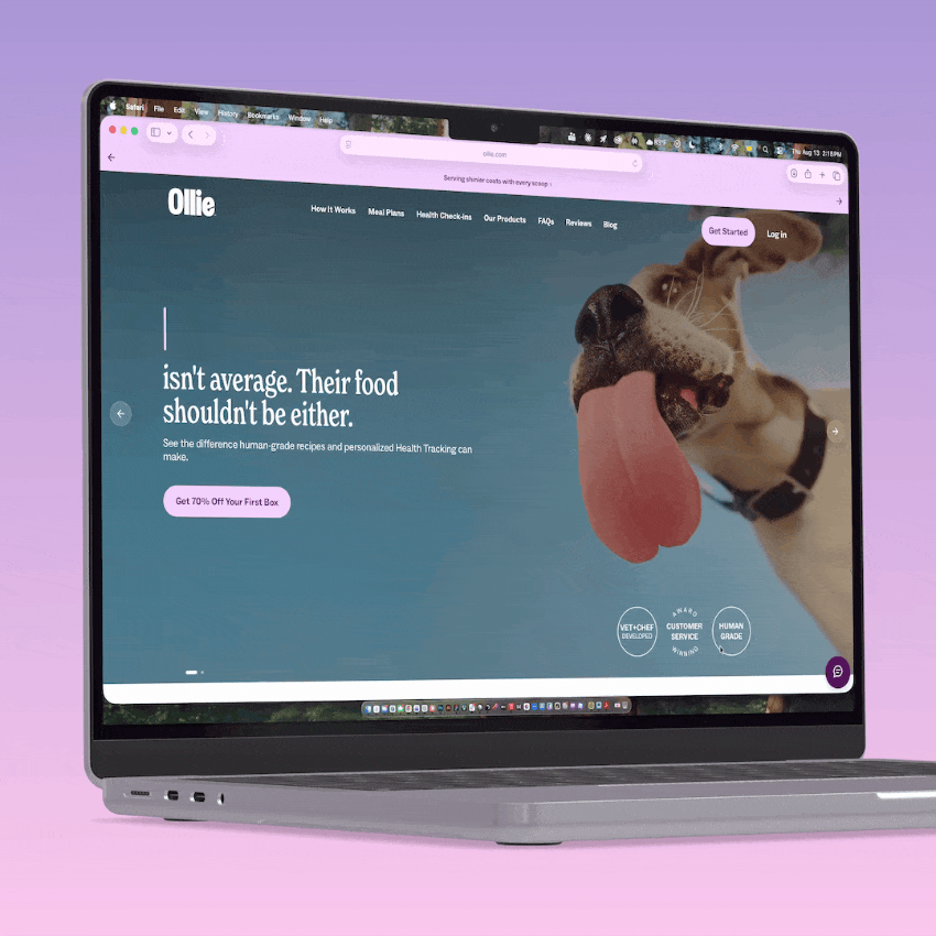 Ollie mobile app experience